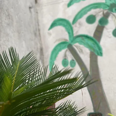 Apolonia Apartamento *